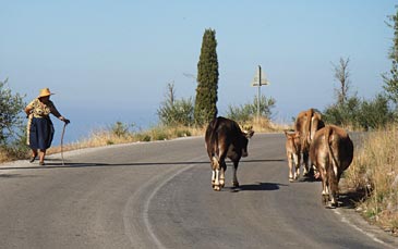 Hidden Greece